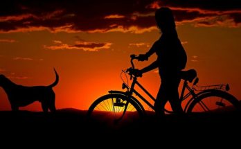 Chica pasea con su perro y su bici en la noche